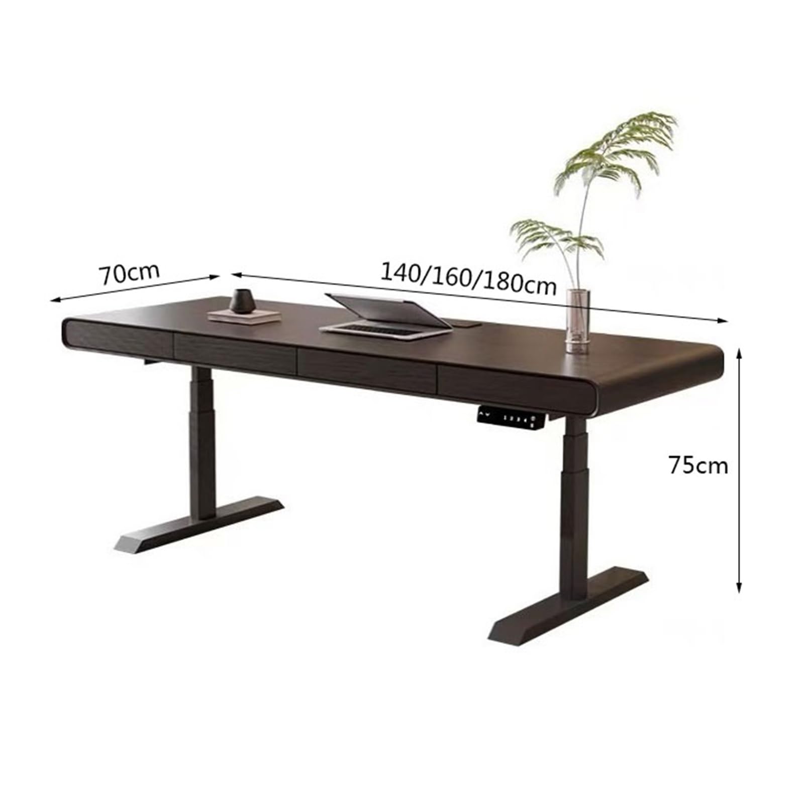 Electric Standing Desk with Drawer
